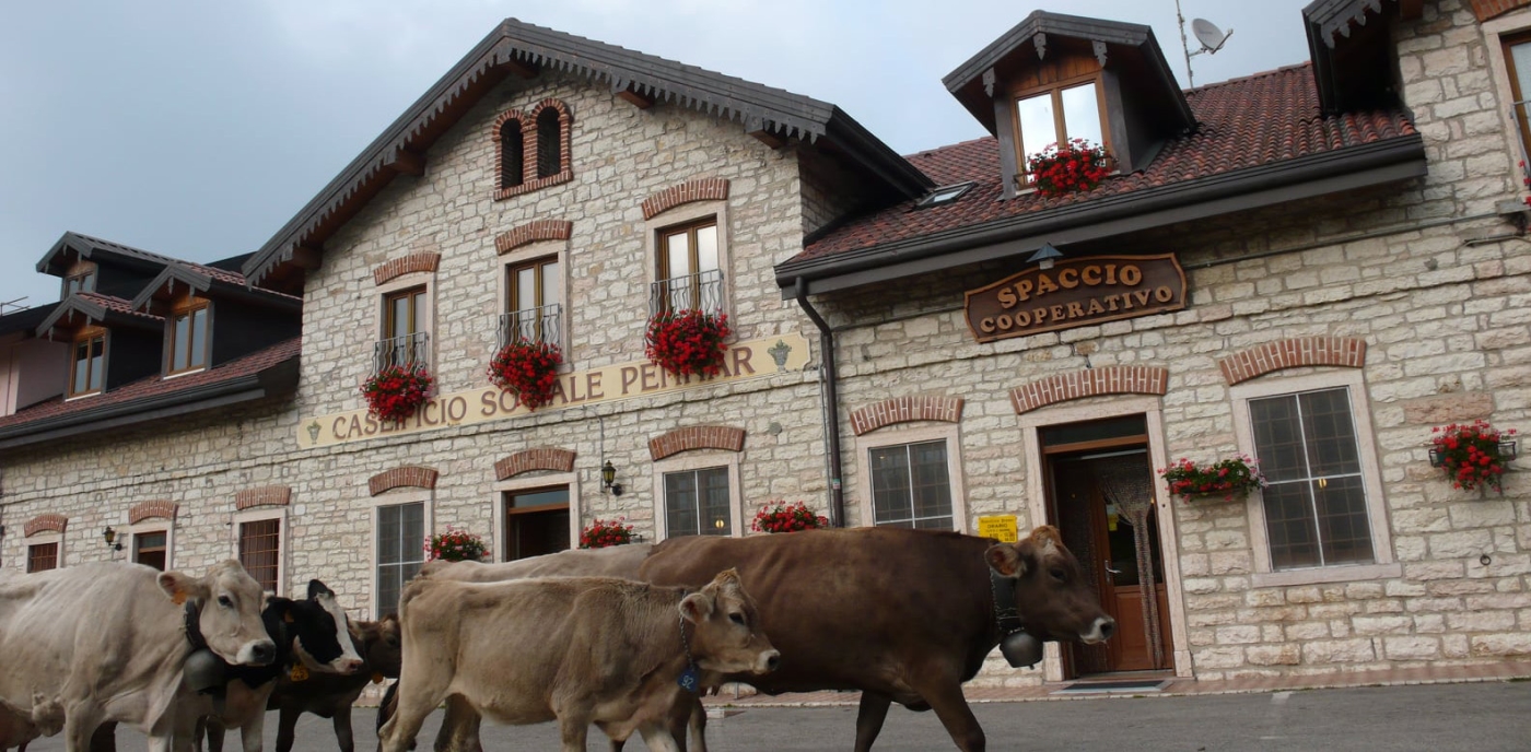 Caseificio Pennar Asiago