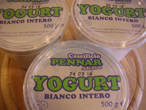 Yogurt